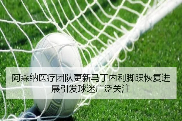阿森纳医疗团队更新马丁内利脚踝恢复进展引发球迷广泛关注