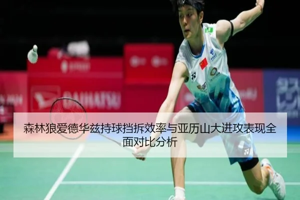 森林狼爱德华兹持球挡拆效率与亚历山大进攻表现全面对比分析